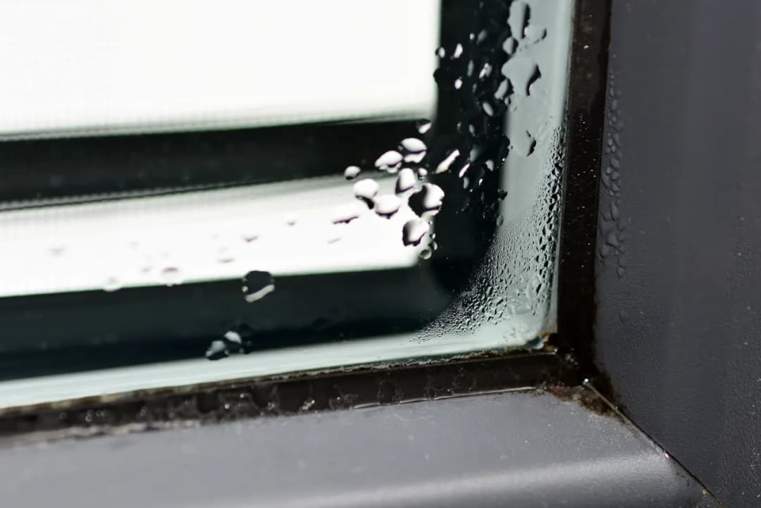 Skuteczne metody na usunięcie pleśni z uszczelki okna w 5 krokach