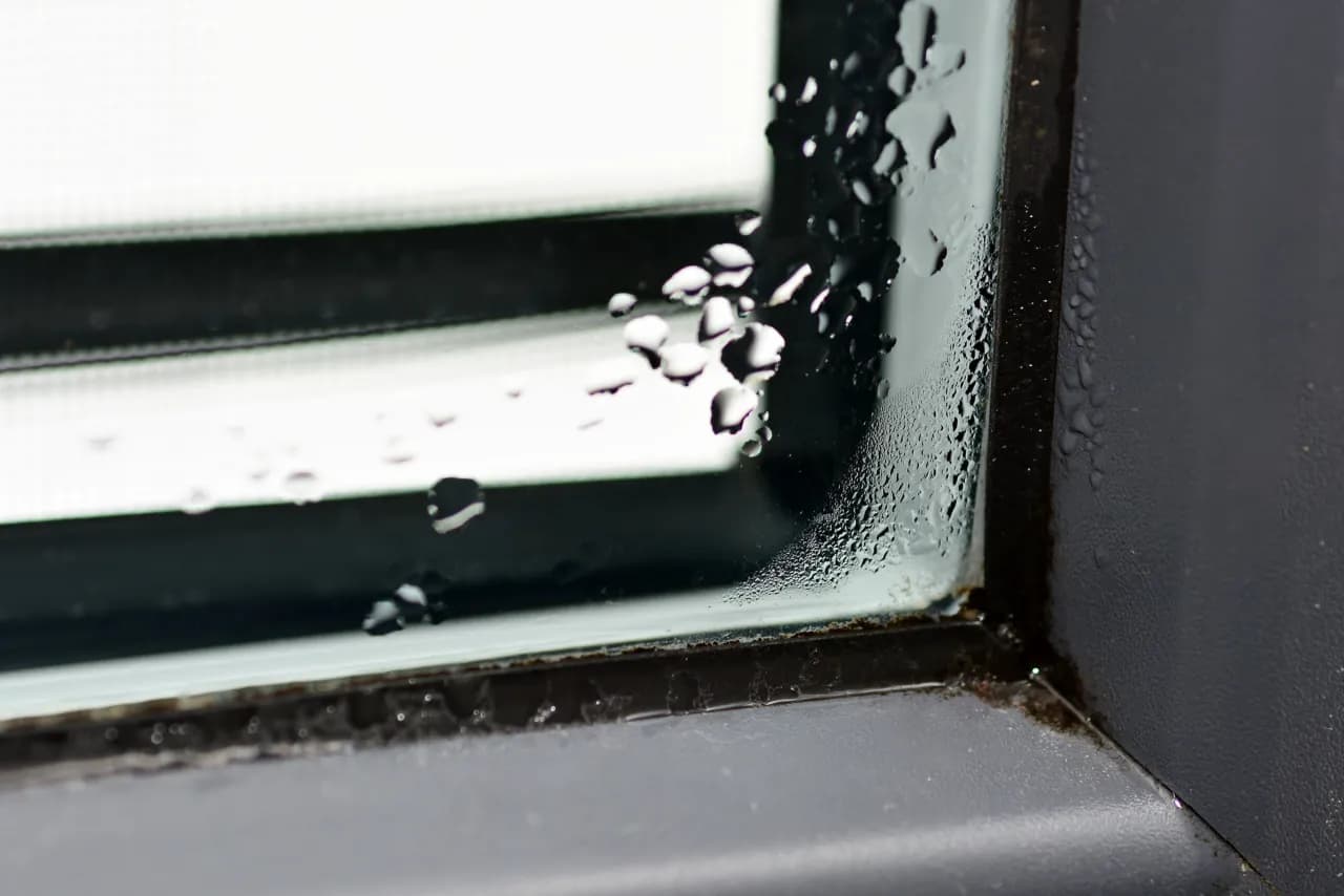 Jak usunąć grzyb z okien: 5 skutecznych metod - pozbądź się pleśni